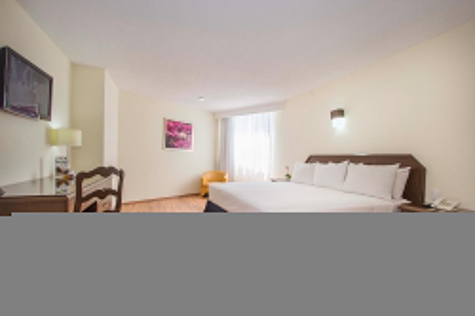 Hotel Valle De Mexico Toreo Екстер'єр фото